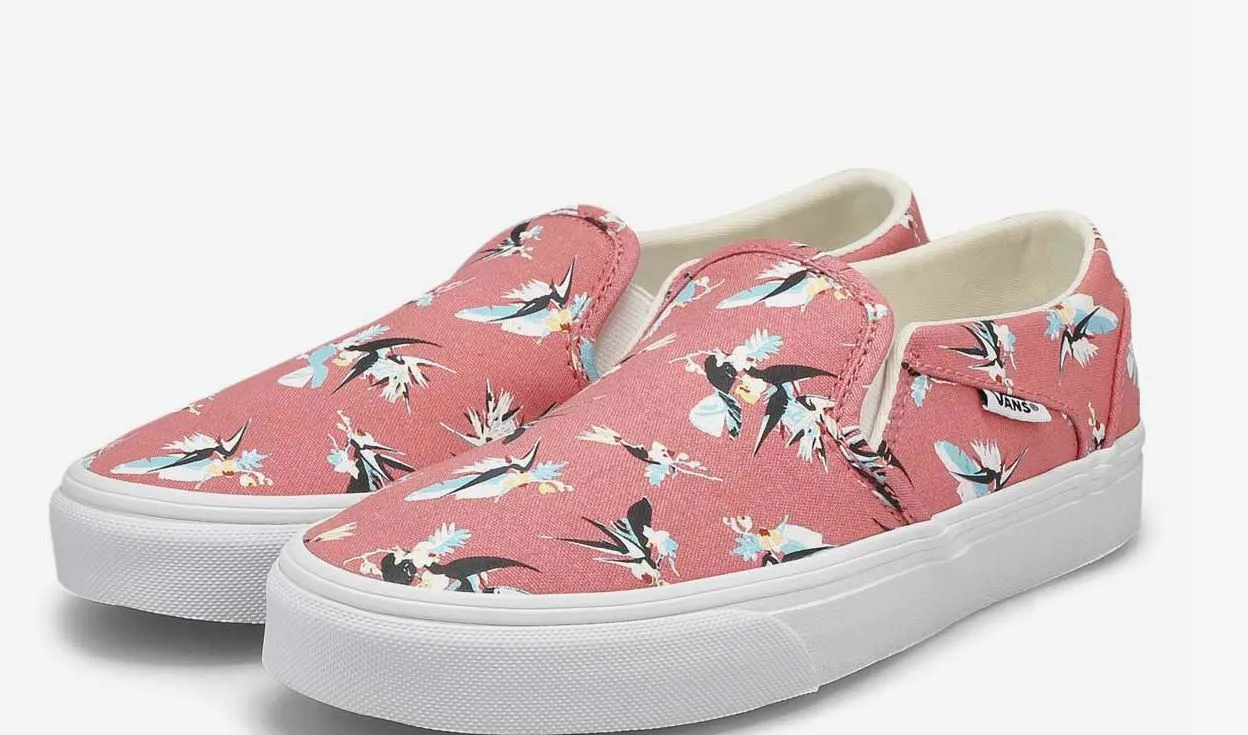 Vans W Asher Paradiesvögel