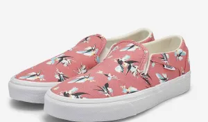 Vans W Asher Paradiesvögel